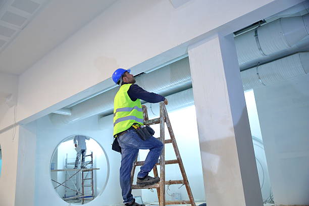 Reliable Osceola, IA Mold Removal Solutions